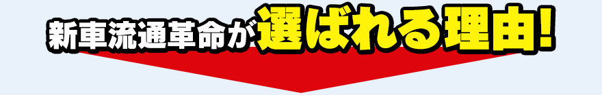 新車流通革命が選ばれる理由