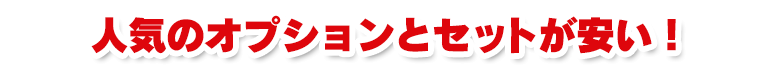 人気のオプションとセットが安い!